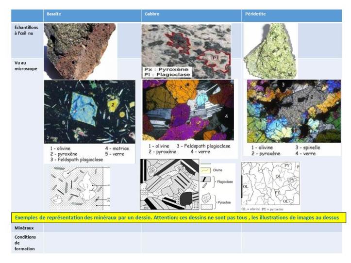 TP 4- Indices expansion tableau corrigé 2017