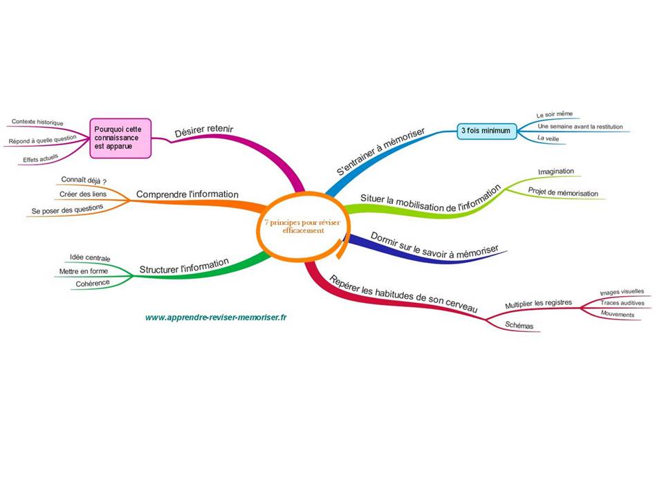 Fiches de révision ECE, écrit et oral – MON SVT COURS